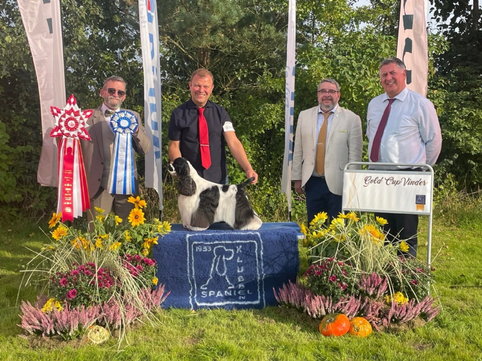 Årets spaniel 2024 alle racer, Galaksi I CAN COZ I AM (Amerikansk cocker spaniel)